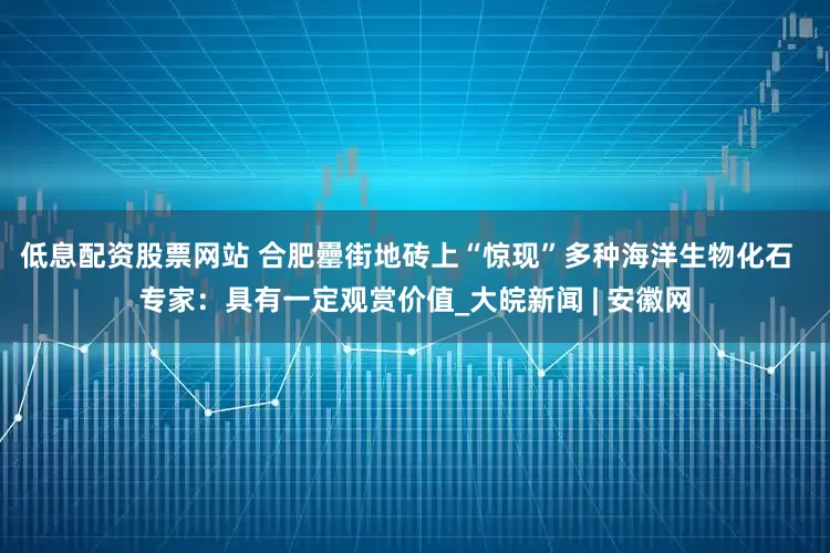 低息配资股票网站 合肥罍街地砖上“惊现”多种海洋生物化石  专家：具有一定观赏价值_大皖新闻 | 安徽网