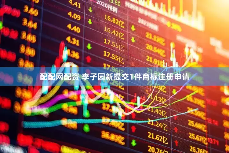 配配网配资 李子园新提交1件商标注册申请