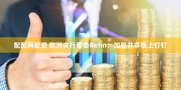 配配网配资 欧洲央行管委Rehn：加息并非板上钉钉